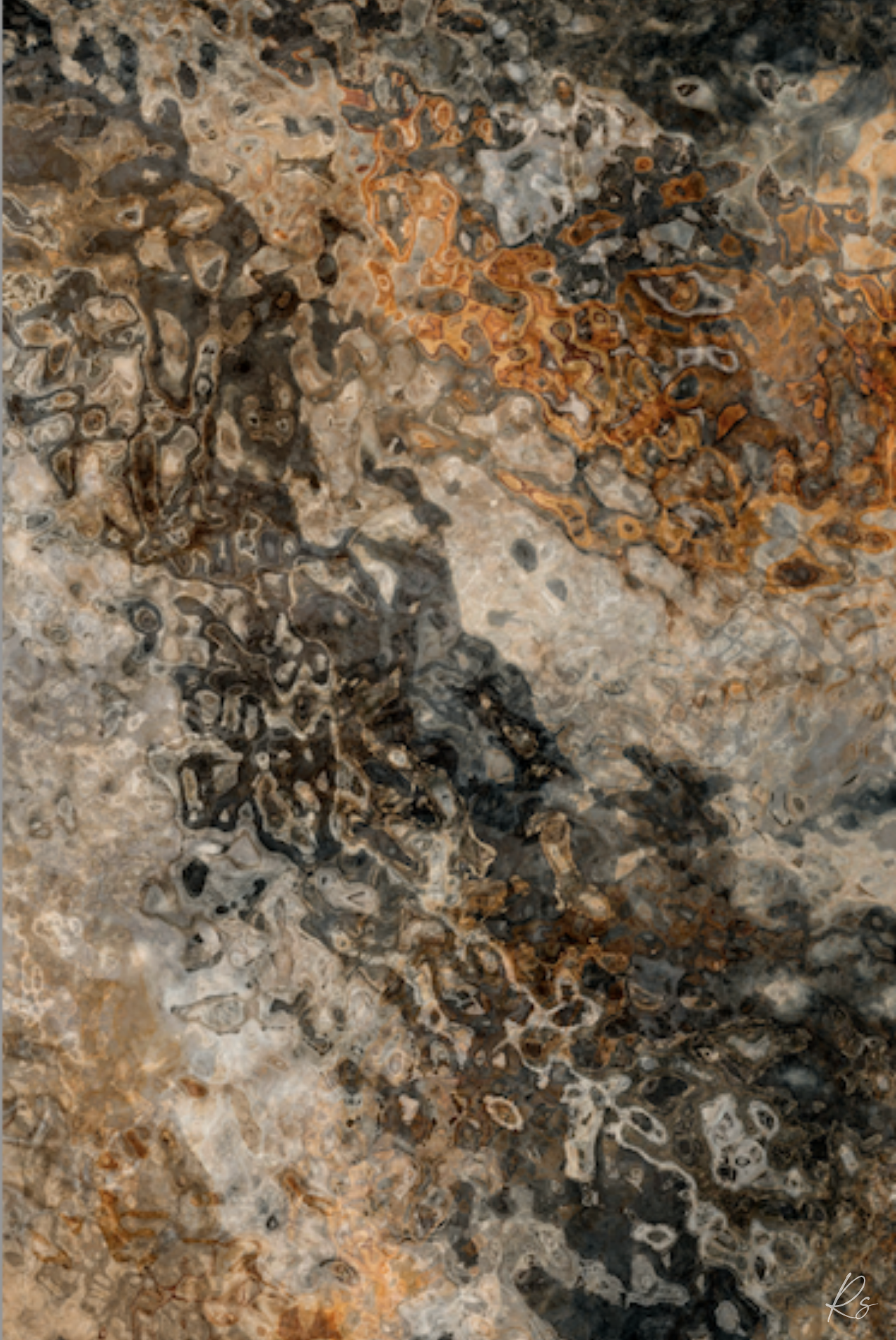 Regulus — Infinite Space Collection