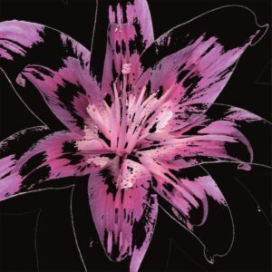 Full Bloom 08 — Art Print