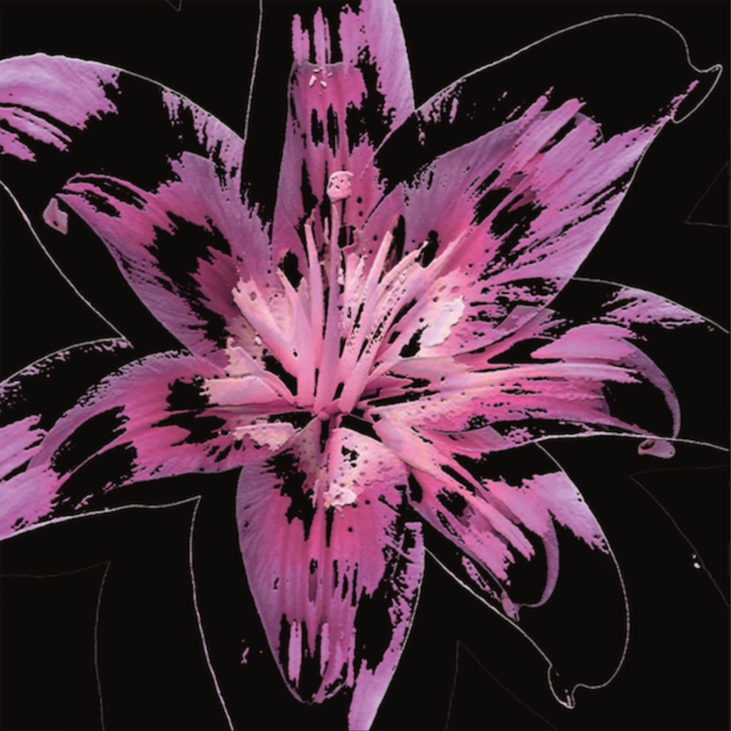 Full Bloom 08 — Art Print