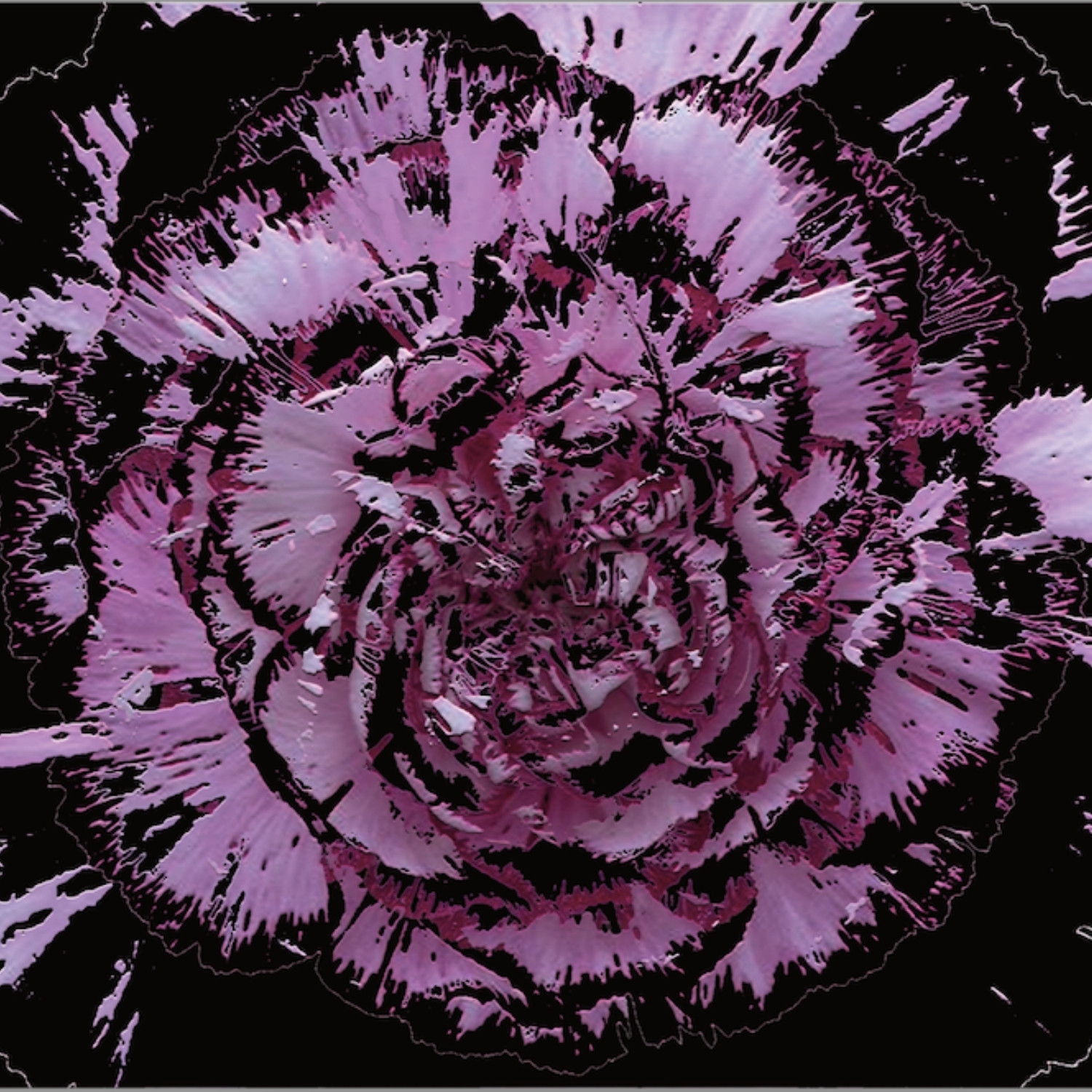 Full Bloom 01 — Art Print