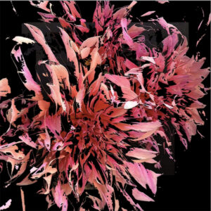 Full Bloom 10 — Art Print