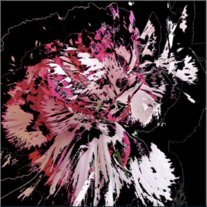 Full Bloom 15 — Art Print