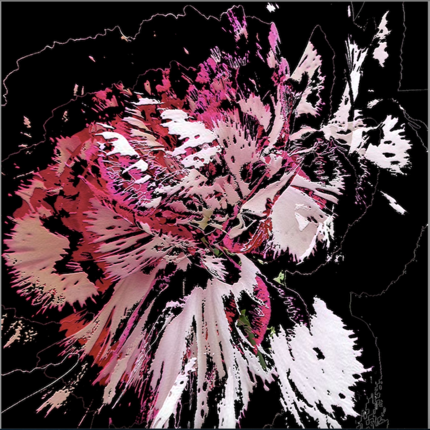 Full Bloom 15 — Art Print