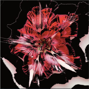 Full Bloom 02 — Art Print