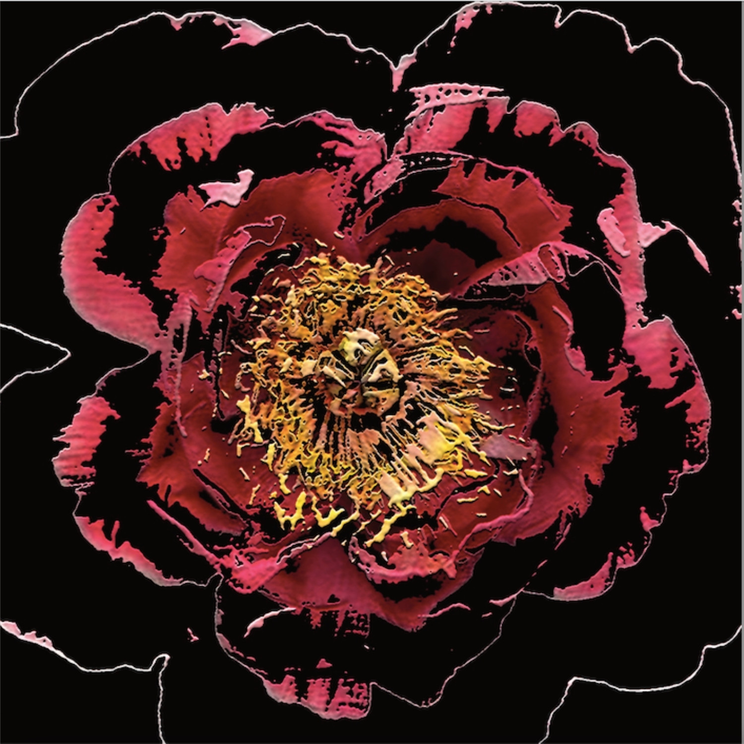 Full Bloom 17 — Art Print