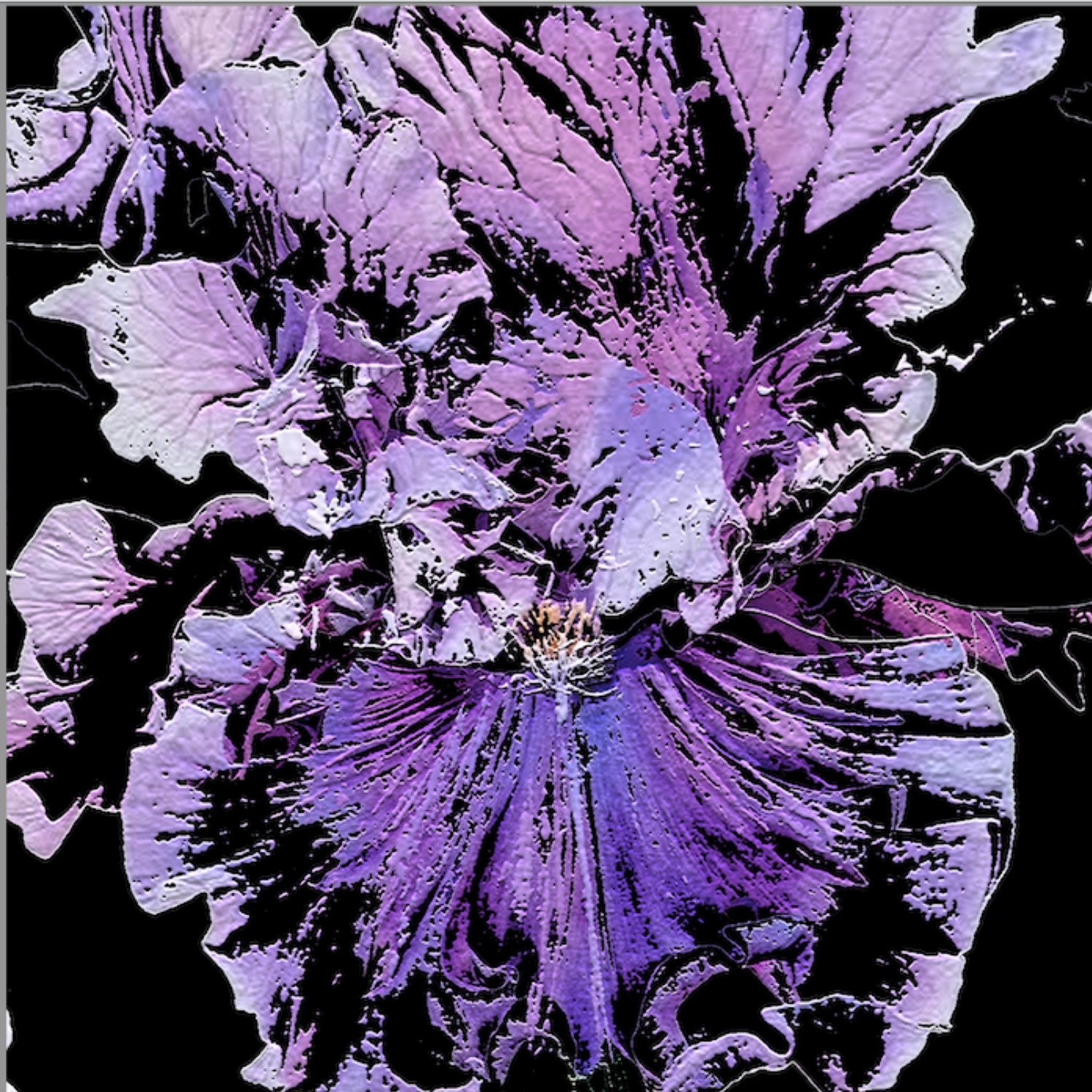 Full Bloom 06 — Art Print